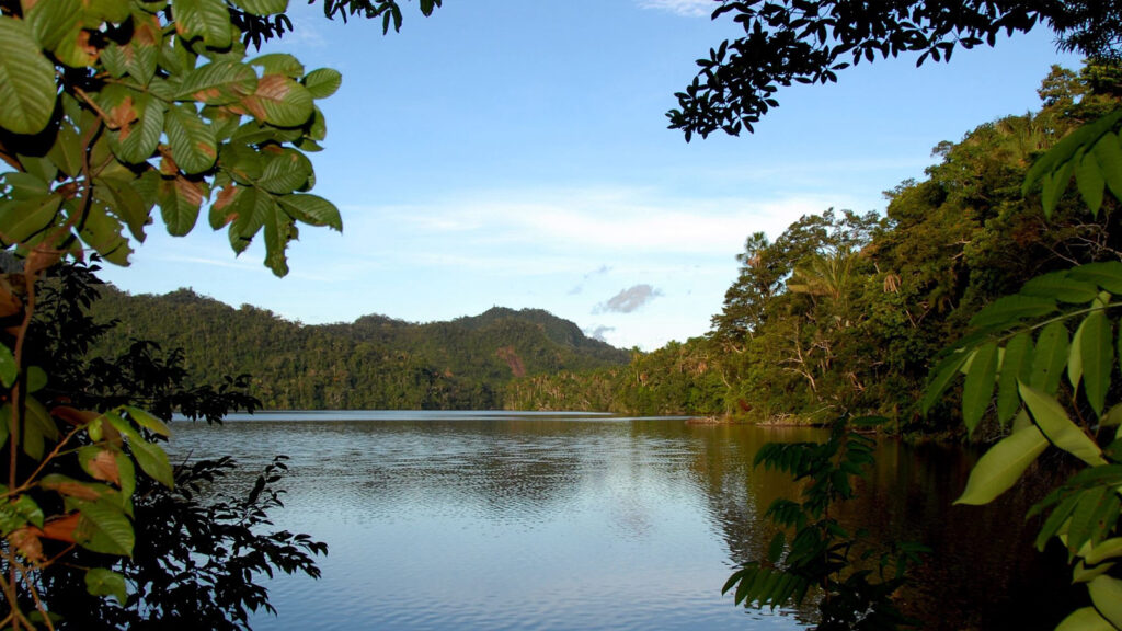 Progetto Carbon Offset