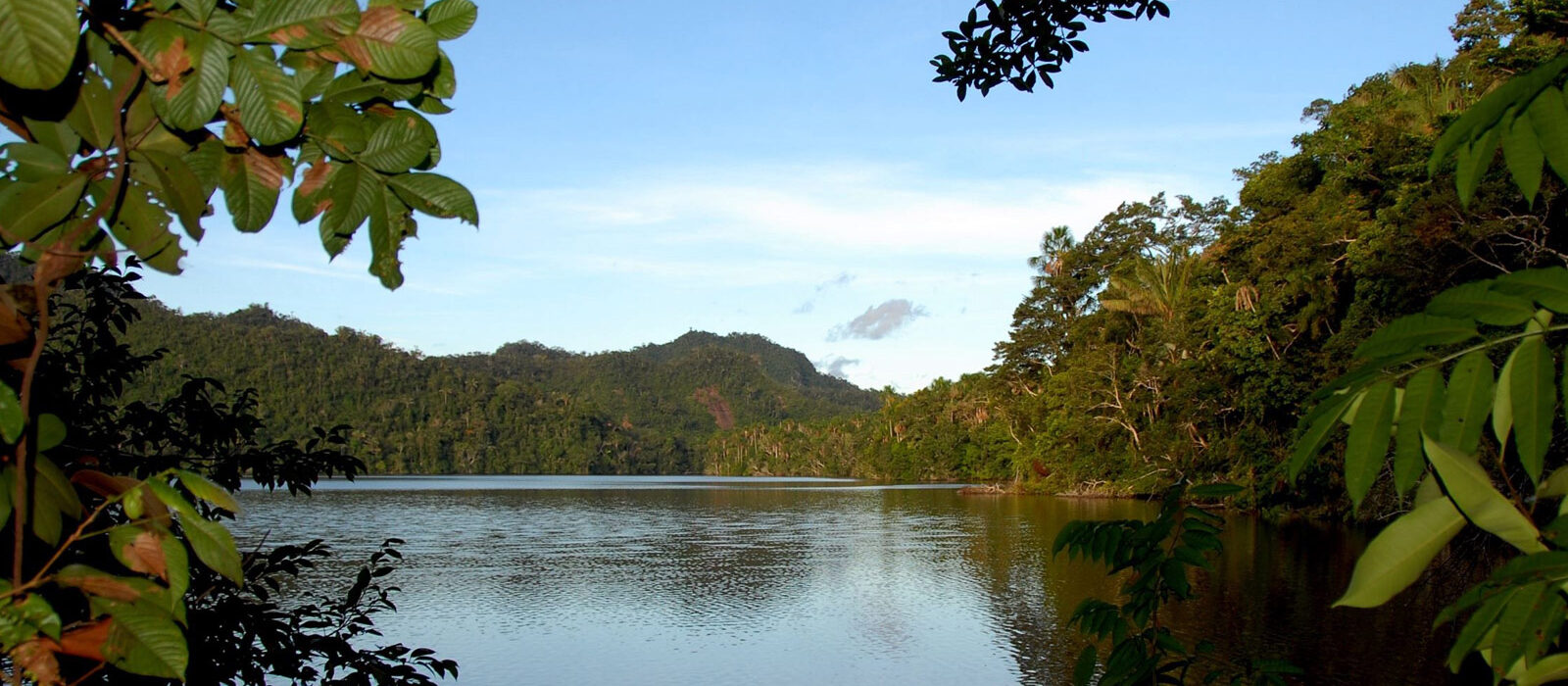 Progetto Carbon Offset