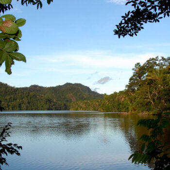 Progetto Carbon Offset
