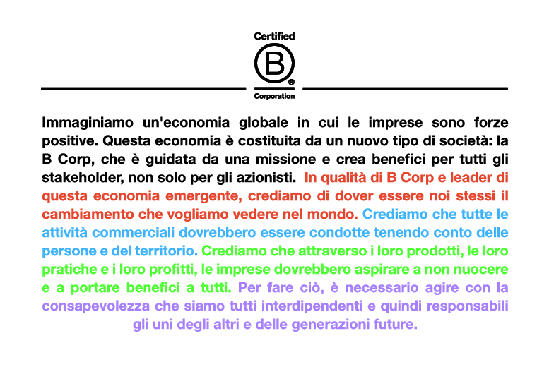 REGO_Dispositivi_anticaduta_B_Corporation_Declaration-of-Interdependence-Print-Artwork_Italian